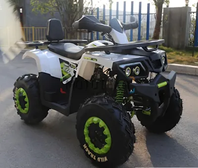 Квадроцикл Zuumav (Зуумав) BRAVES - 200 К2 (HUNTER 200) чёрный (машинокомплект)