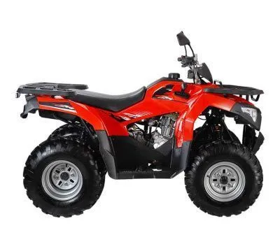 Квадроцикл WELS (Велс) ATV Bison (машинокомплект)