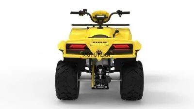 Квадроцикл IRBIS (Ирбис) ATV 250 LUX 2024 желтый с ПСМ