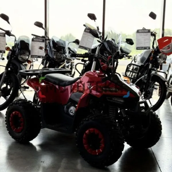 Квадроцикл детский YACOTA (Якота) RAPOSA 110 красный (машинокомплект) | Мототека