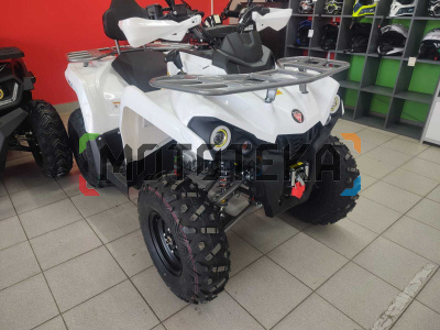 Квадроцикл Motax (Мотакс) ATV Grizlik 200 Ultra белый/серый (машинокомплект)