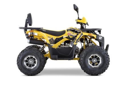 Квадроцикл подростковый FXMOTO (ФХМото) PIKE 150 жёлтый (машинокомплект) - купить с доставкой, цены в интернет-магазине Мототека